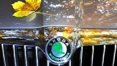 otomag